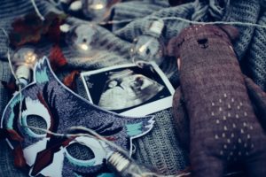 Sperm donor rights Brisbane Family Lawyer