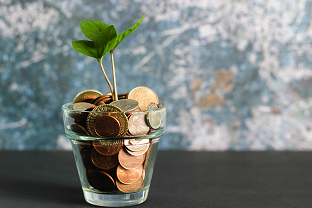 superannuation money tree