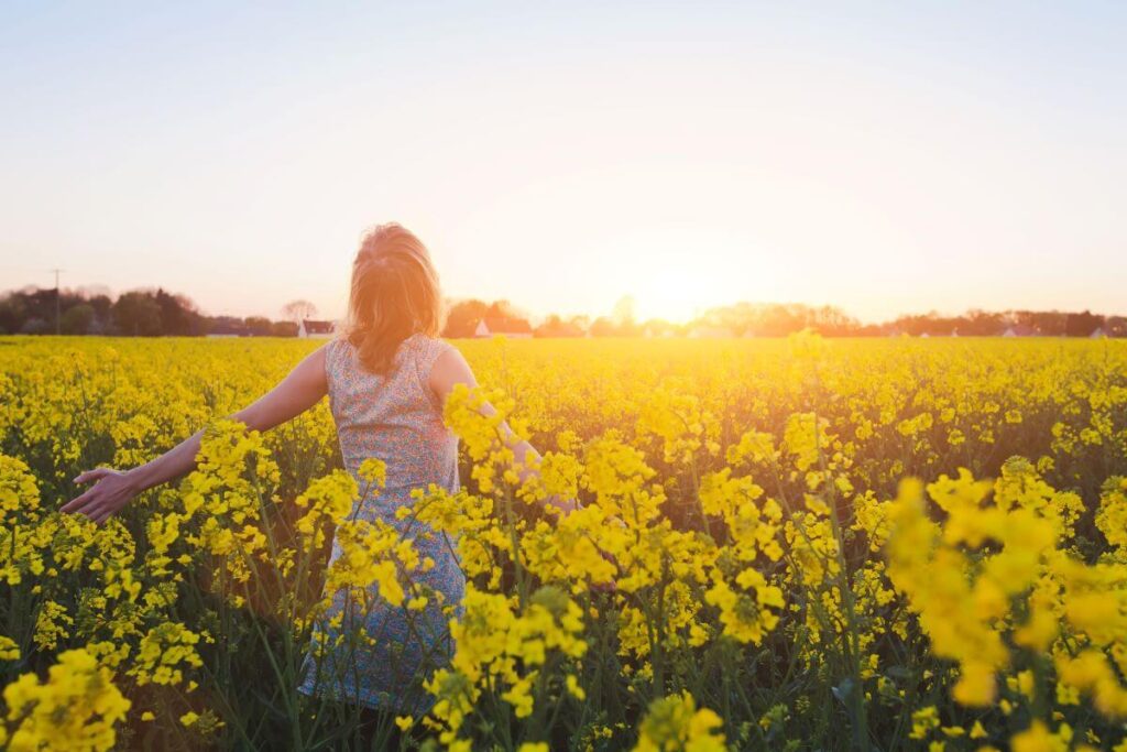 Woman in flower field feeling free and thriving after a marriage breakdown